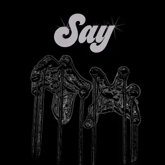 Say (Remix) by Black Feather Meadowlark