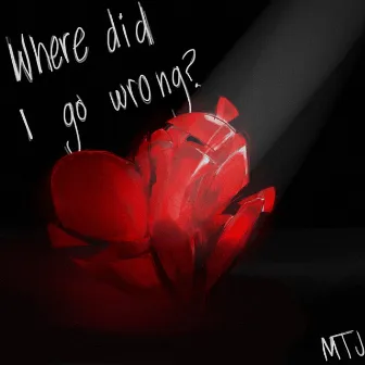 Where Did I Go Wrong with Us by MTJ