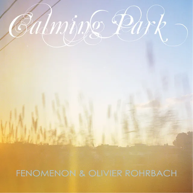 Calming Park (Radio Edit)