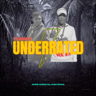 Underrated, Vol. 1 by TeamAble