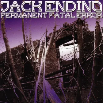 Permanent Fatal Error by Jack Endino