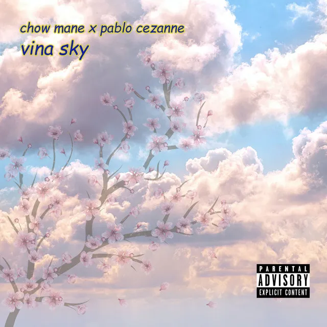 Vina Sky