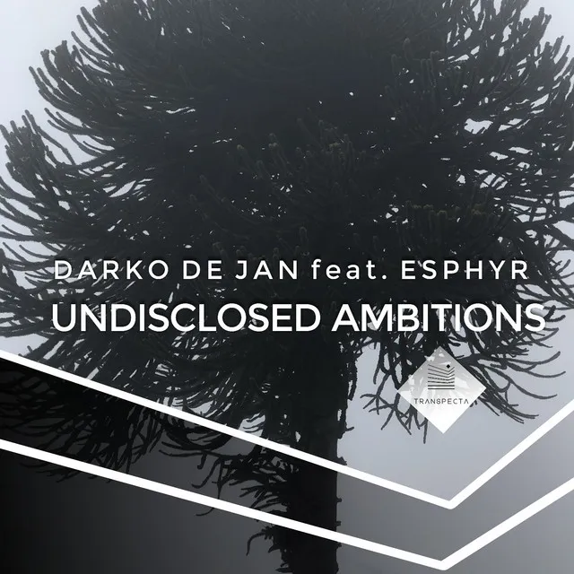 Undisclosed Ambitions - Original Mix