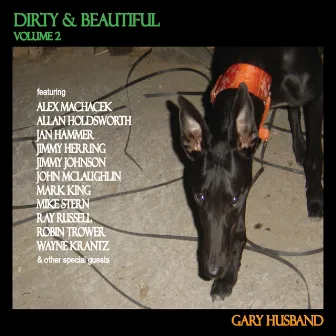 Dirty & Beautiful, Vol. 2 by Gary Husband