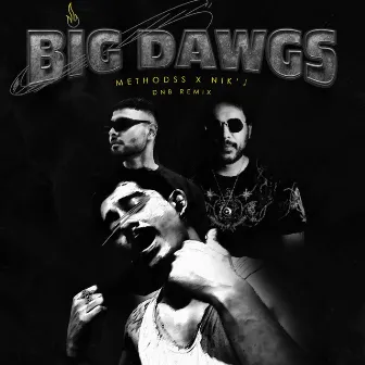 Big Dawgs (DnB Remix) by Nik'J