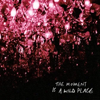 The Moment Is A Wild Place by Gord Downie