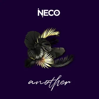 another by Neco