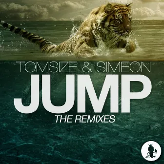 Jump (The Remixes) by Tomsize