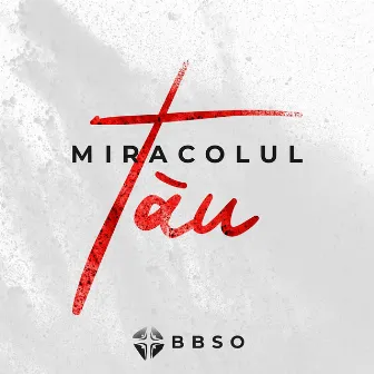 Miracolul Tău by BBSO