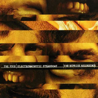 Electromagnetic Steamboat: The Reprise Recordings by The Fugs