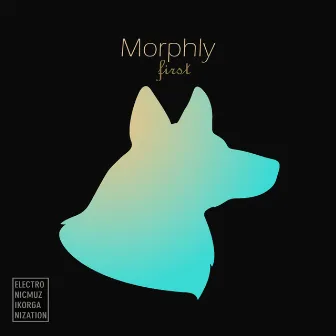 First by Morphly