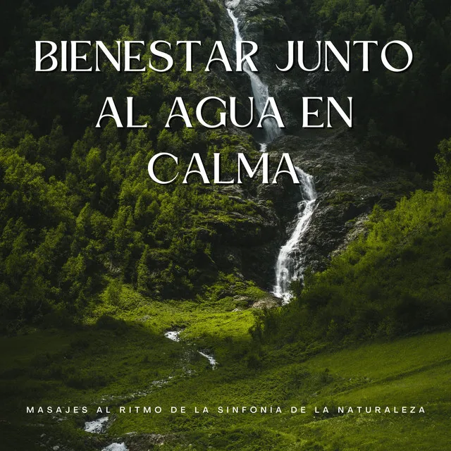 Flujo De Masaje Junto Al Agua