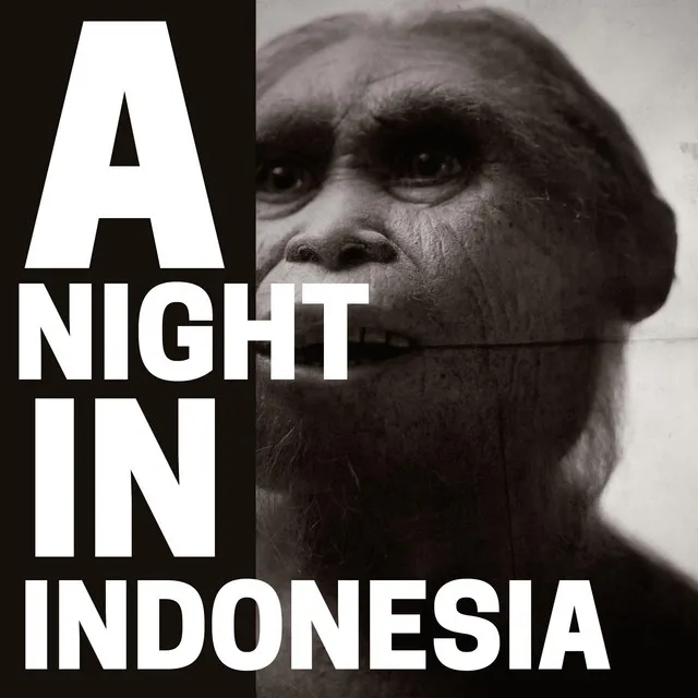 A NIGHT IN INDONESIA - Instrumental