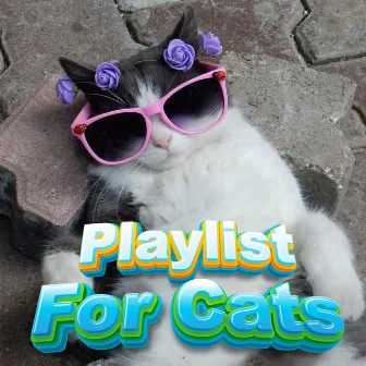 Background Music Playlist For Kittens & Cats To Relax To by Calm Music Playlist For Cats