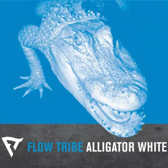 Alligator White by Flow Tribe