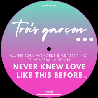 Never Knew Love Like This Before (Trois Garcon Mix) by Wayne Soul Avengerz