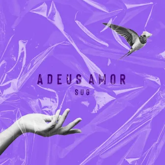 Adeus Amor by Sug