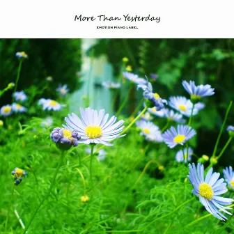 More Than Yesterday by Morning Flower