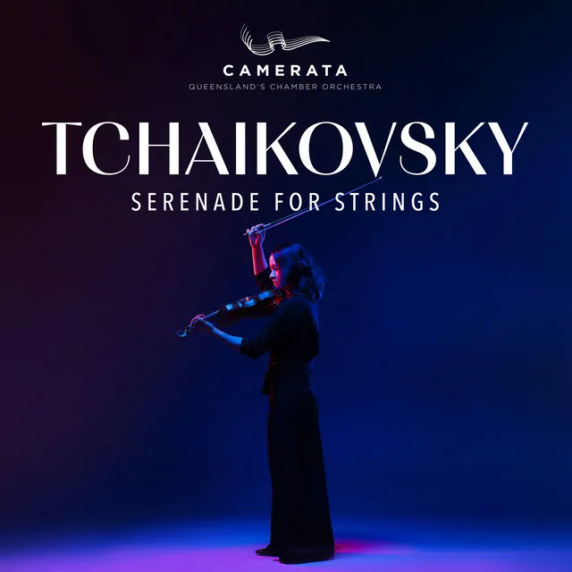 Serenade for strings in C Major, Op. 48: I. Pezzo in forma di sonatina. Andante non troppo - Allegro