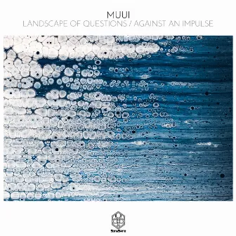 Landscape of Questions / Against an Impulse by MUUI