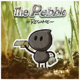 Résumé by The pebble