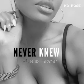 Never Knew by Kd Rose