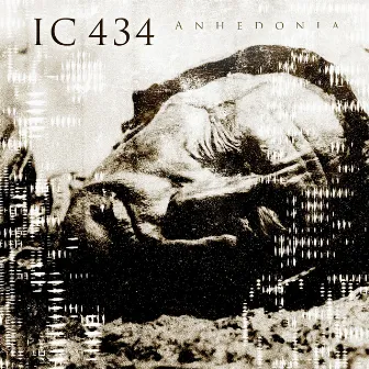 Anhedonia by IC 434