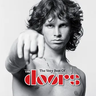 The Very Best of the Doors by The Doors