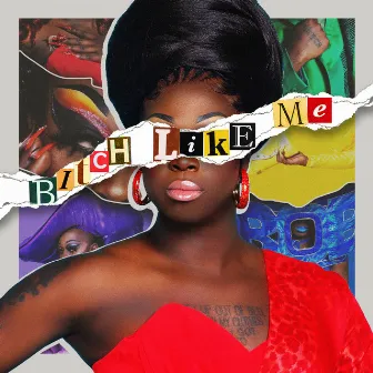 Bitch Like Me by Bob the Drag Queen