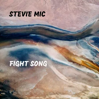 Fight Song by Stevie Mic