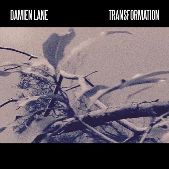 Transformation by Damien Lane