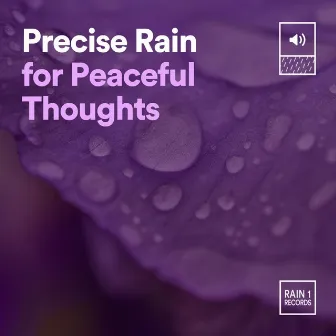 Precise Rain for Peaceful Thoughts by The Sound Of The Rain