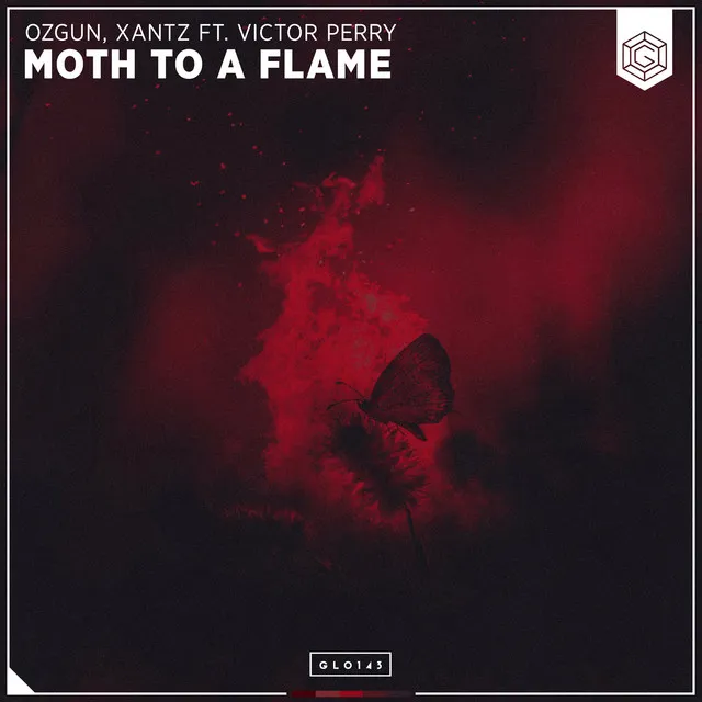 Moth To A Flame