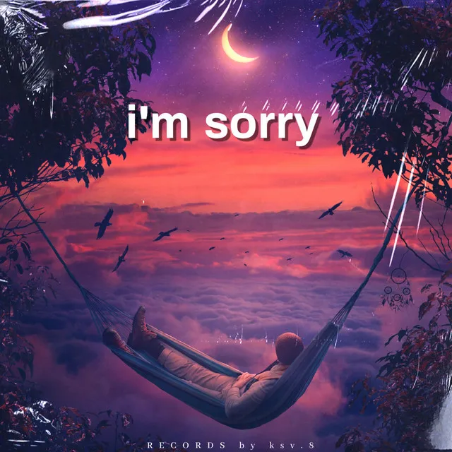 i'm sorry