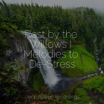 Rest by the Willows | Melodies to De-Stress by Guided Spa Zen