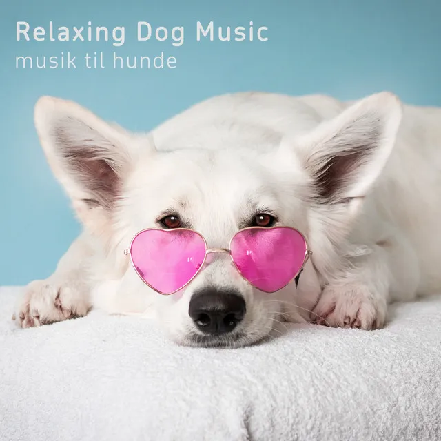 Relaxing Dog Music