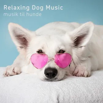 Relaxing Dog Music by Musik Til Hunde