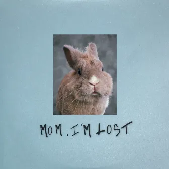 Mom, I’m Lost by Pam Rabbit