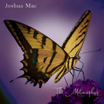 The Metamorphosis by Joshua Mac