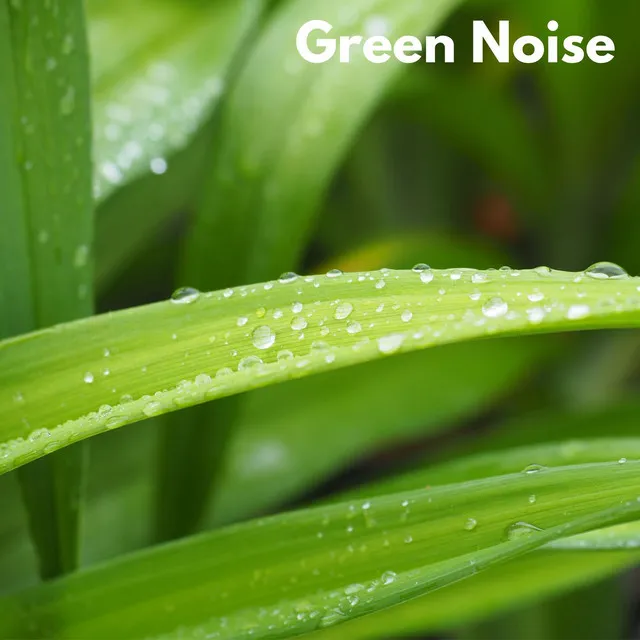 Rain & Green Noise - Loopable, No Fade