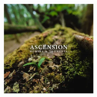 Ascension by Youngsta