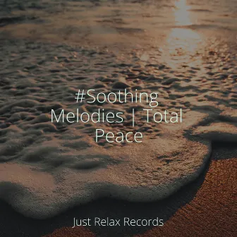 #Soothing Melodies | Total Peace by Meditation