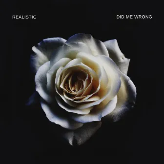 Did Me Wrong by Realistic