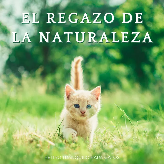 Ruidos de la Naturaleza