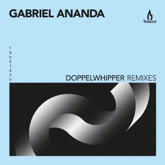 Doppelwhipper (Remixes) by Gabriel Ananda