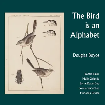 Douglas Boyce: The Bird Is an Alphabet by Douglas Boyce