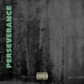 Perseverance by Visionary Stevo