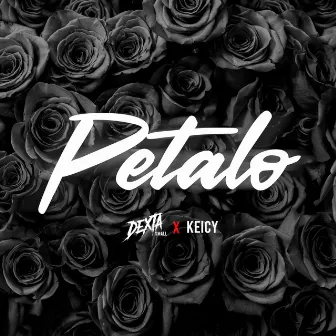 Petalo by Dexta Small