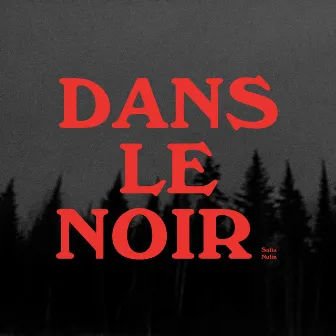 Dans le noir by Safia Nolin