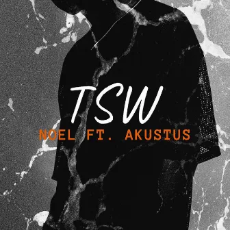 Tsw by Noel